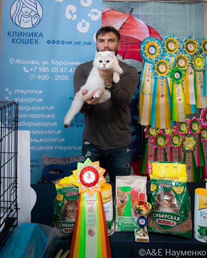 mezhdunarodnaya-vystavka-koshek.5 Международная выставка кошек "Кэт-Салон-Сентябрь"