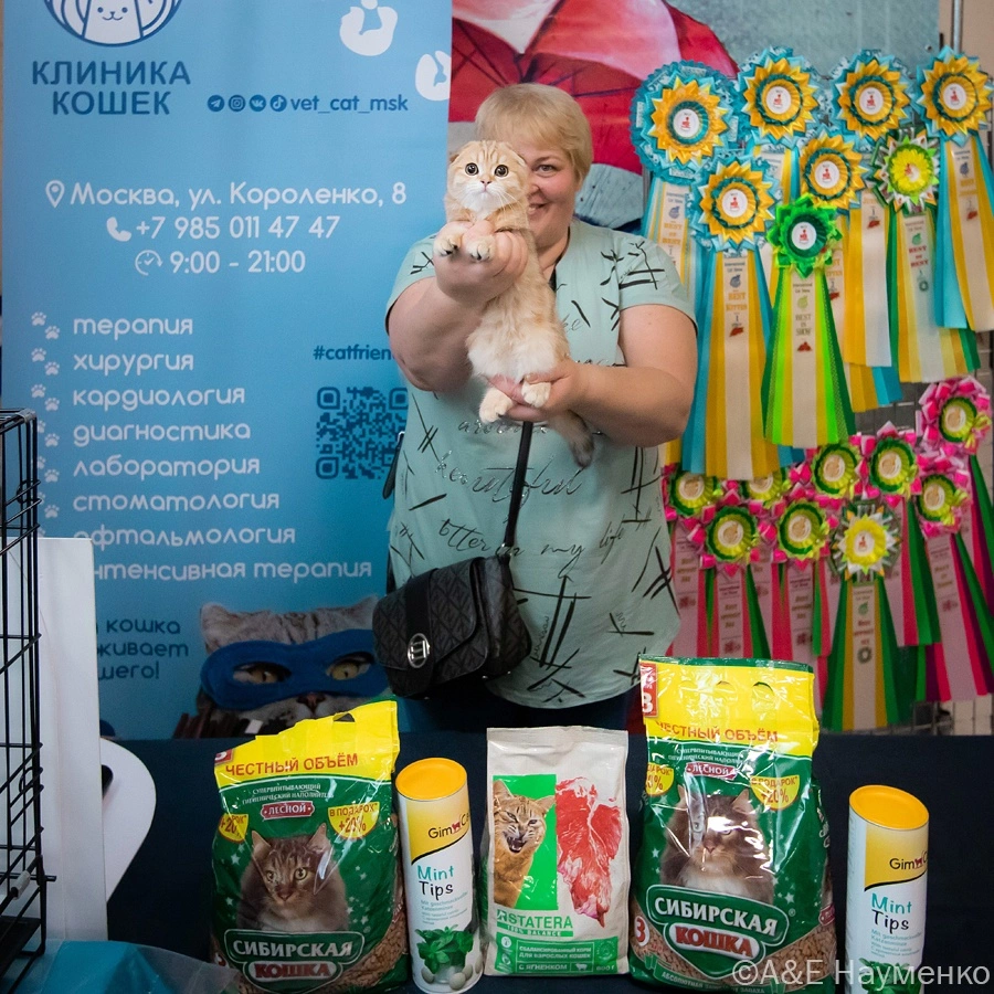mezhdunarodnaya-vystavka-koshek.7 Международная выставка кошек "Кэт-Салон-Сентябрь"