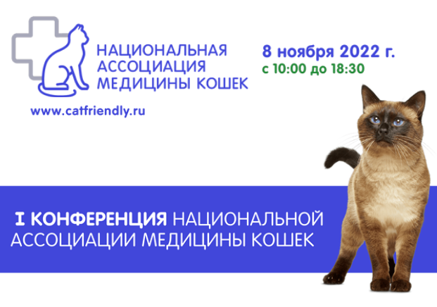 Конференция ассоциации медицины кошек